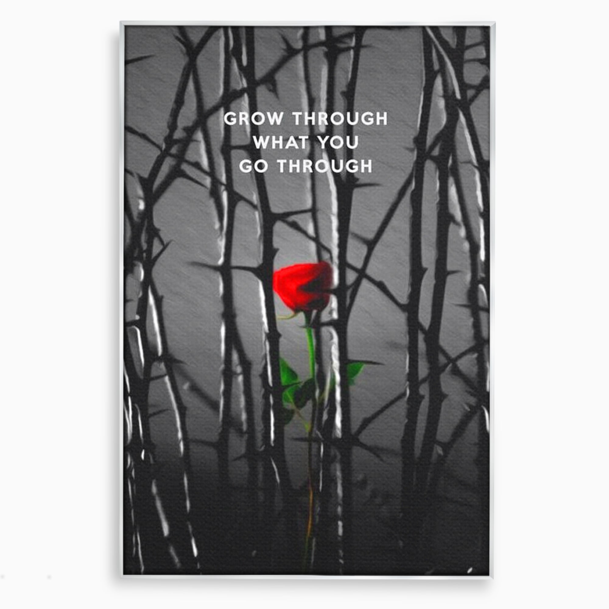 Tablou canvas cu tablou motivational cu trandafir rosu si spini, in rama de aluminiu argintiu